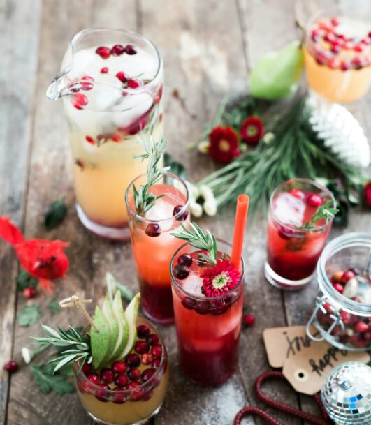 CoCook Holiday Cocktails Shake, Stir & Sip